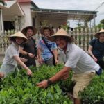 Solo Trip to Vietnam: Guide for Indian Travellers